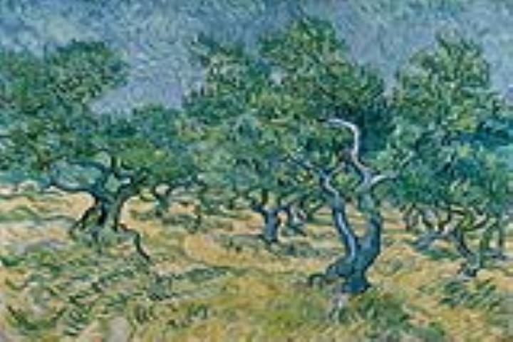 3 jours Veluwe et Van Gogh